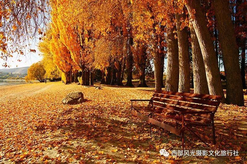 史小坑的爆笑生活11
